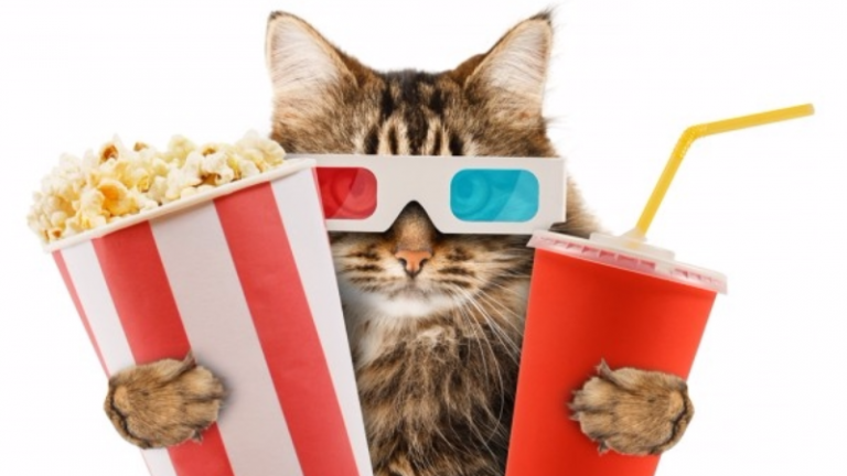 Кинотест: Кто это сказал?