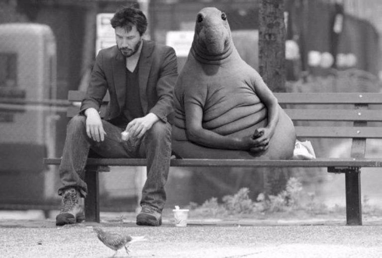 Тест: Умеешь ли ты ждать?