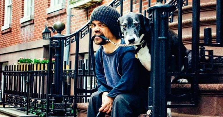 Тест: Угадаешь, кошка или собака у знаменитости?