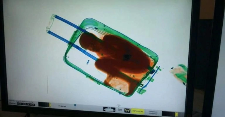 Тест: Что из этого списка можно пронести в салон самолёта?