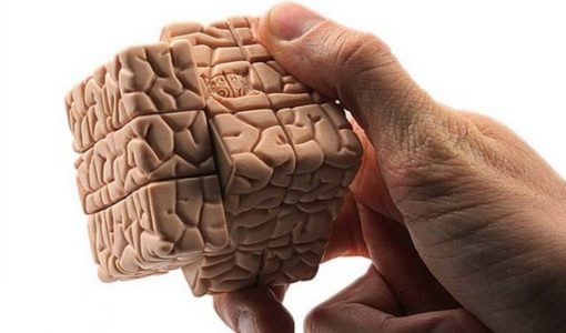 Тест: Всё ли вы знаете о мозге?