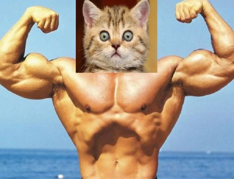 Тест: Угадай знаменитость по телу