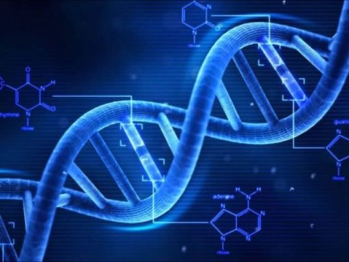 Тест: Что вы знаете о ДНК и генах?