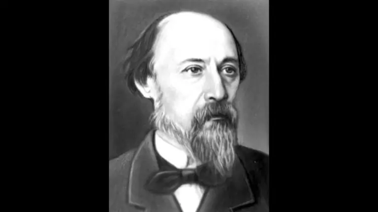 Тест: Некрасов или не Некрасов?