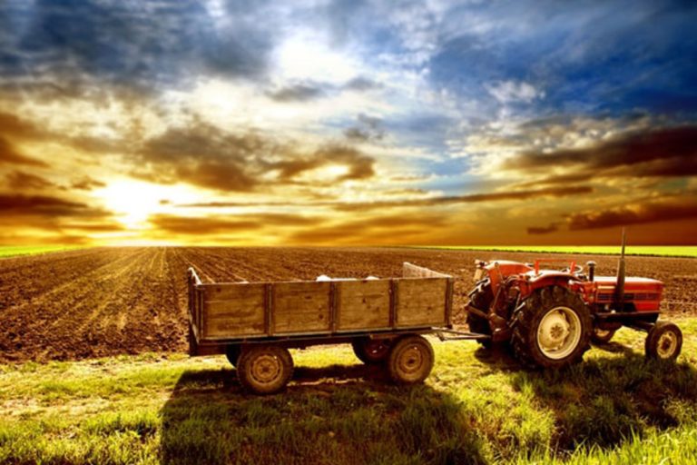 Тест: Какой из вас работник сельского хозяйства?