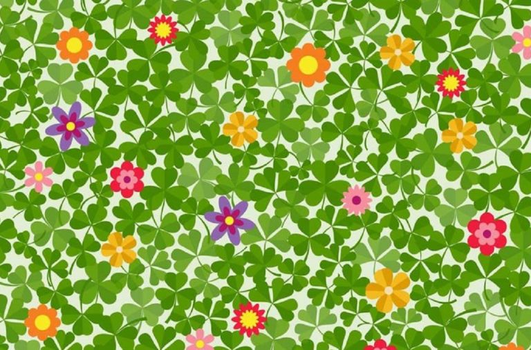 Сможешь отыскать четырёхлистный клевер?