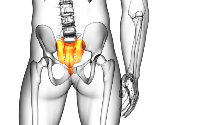 Тест по медицине: Что вы знаете о строении копчика и крестца