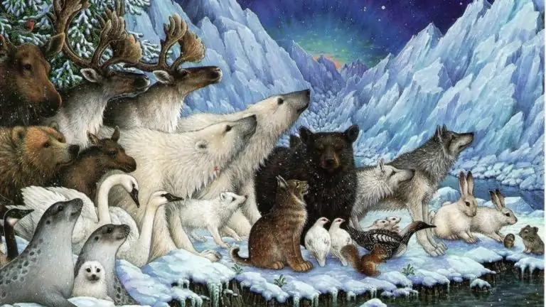 Тест для девочек на тотемное животное