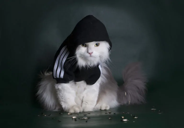 Тест: Узнай, быдло ты или интеллигент