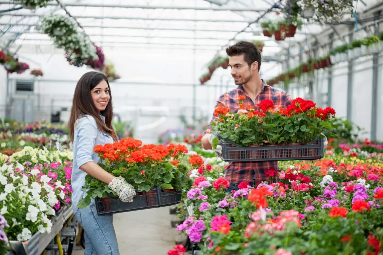 Цветочный квиз: Узнаете ли вы своего зеленого друга по имени?