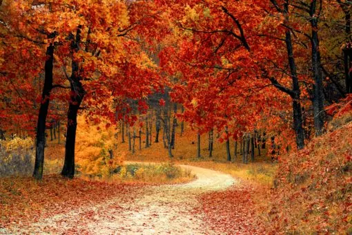 Тест: Выберите один из осенних пейзажей и узнайте, что изменится в вашей жизни осенью