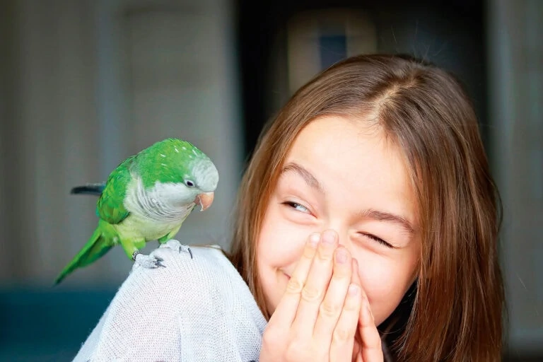 Тест: Какая птица олицетворяет ваш внутренний мир?