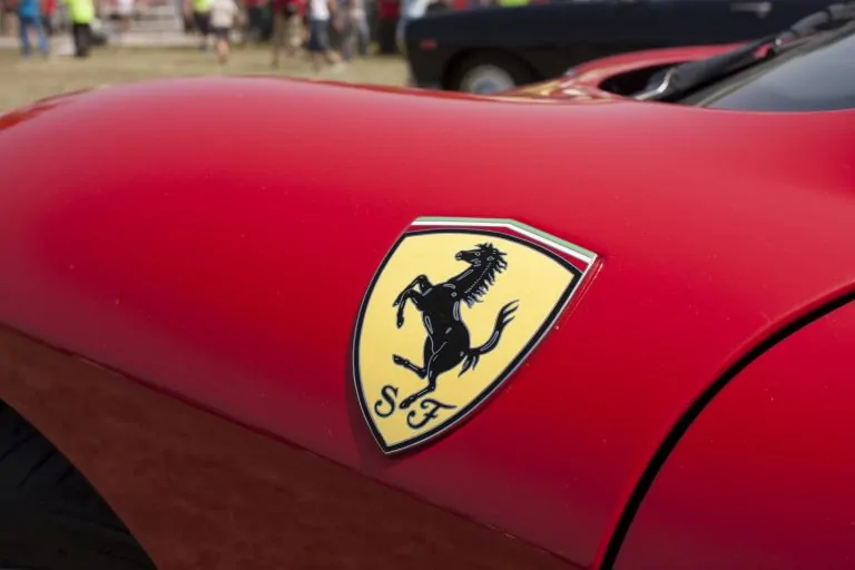 Тест на знание автомобильной флоры и фауны