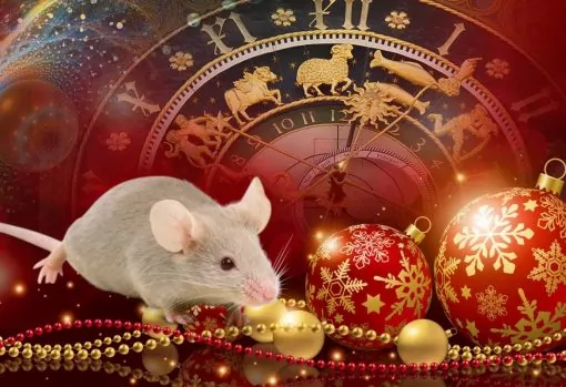Тест: Узнай, что тебя ждет в год Белой Крысы