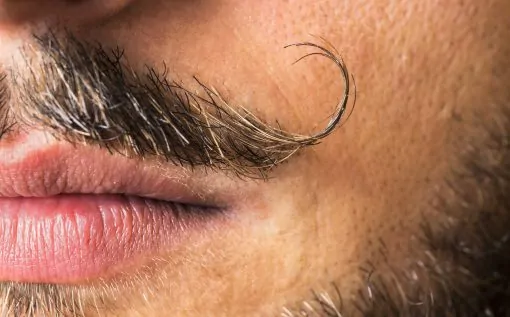 Увлекательный тест про бороды, усы и бакенбарды