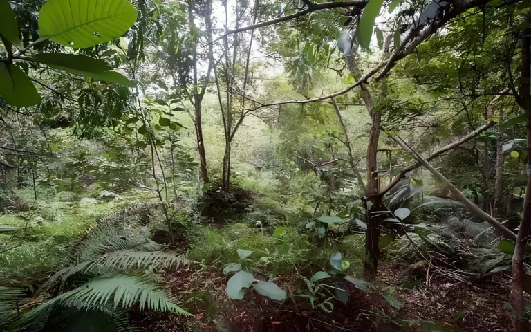 Сможешь найти на снимке замаскированных солдат?