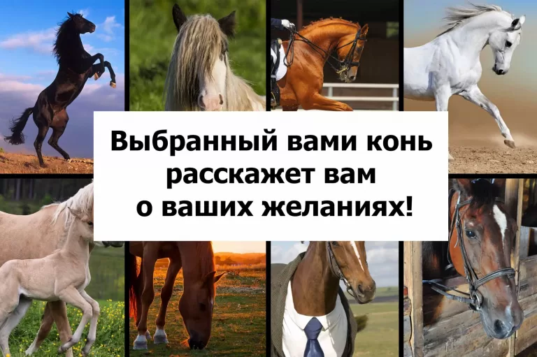 Выбранный вами конь расскажет вам о ваших желаниях!