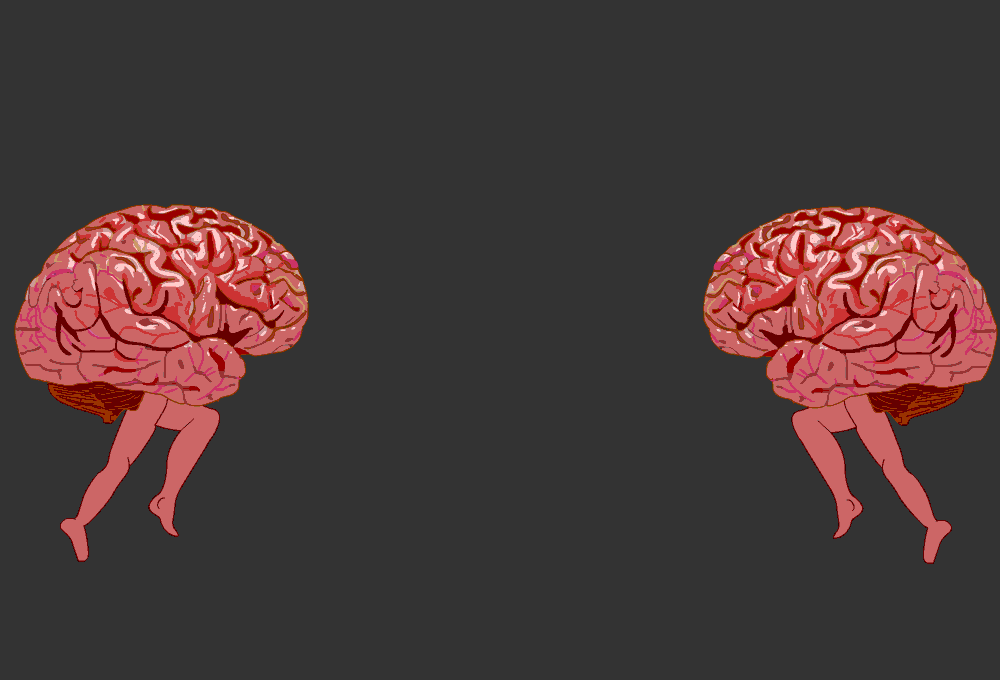 Видео про мозги. Мозг в голове.