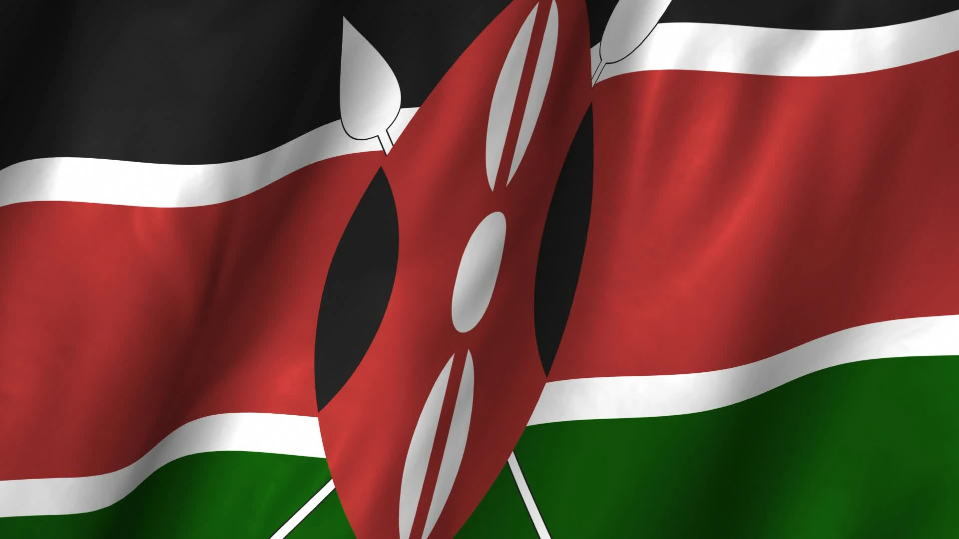 Flag info. Флаг Перу. Необычные флаги. Kenya Flag. Флаг Kenya с девушкой.