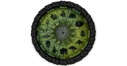 Узнай, какое ты растение по кельтскому гороскопу