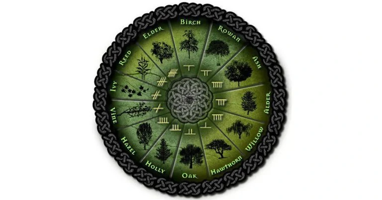 Узнай, какое ты растение по кельтскому гороскопу