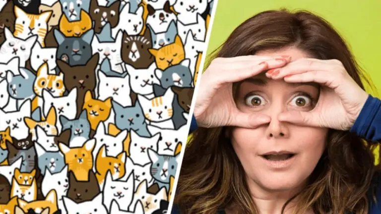 Сможете ли вы найти на картинке лишний объект?