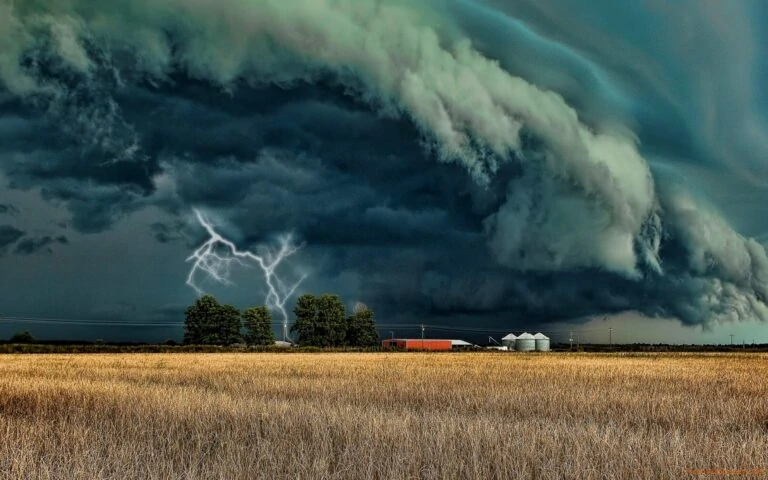 Тест: Как нужно спасаться от стихийного бедствия?