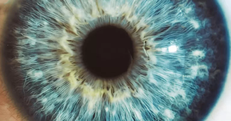 Тест: Что ты помнишь о популярных телевизионных передачах легендарных «нулевых».