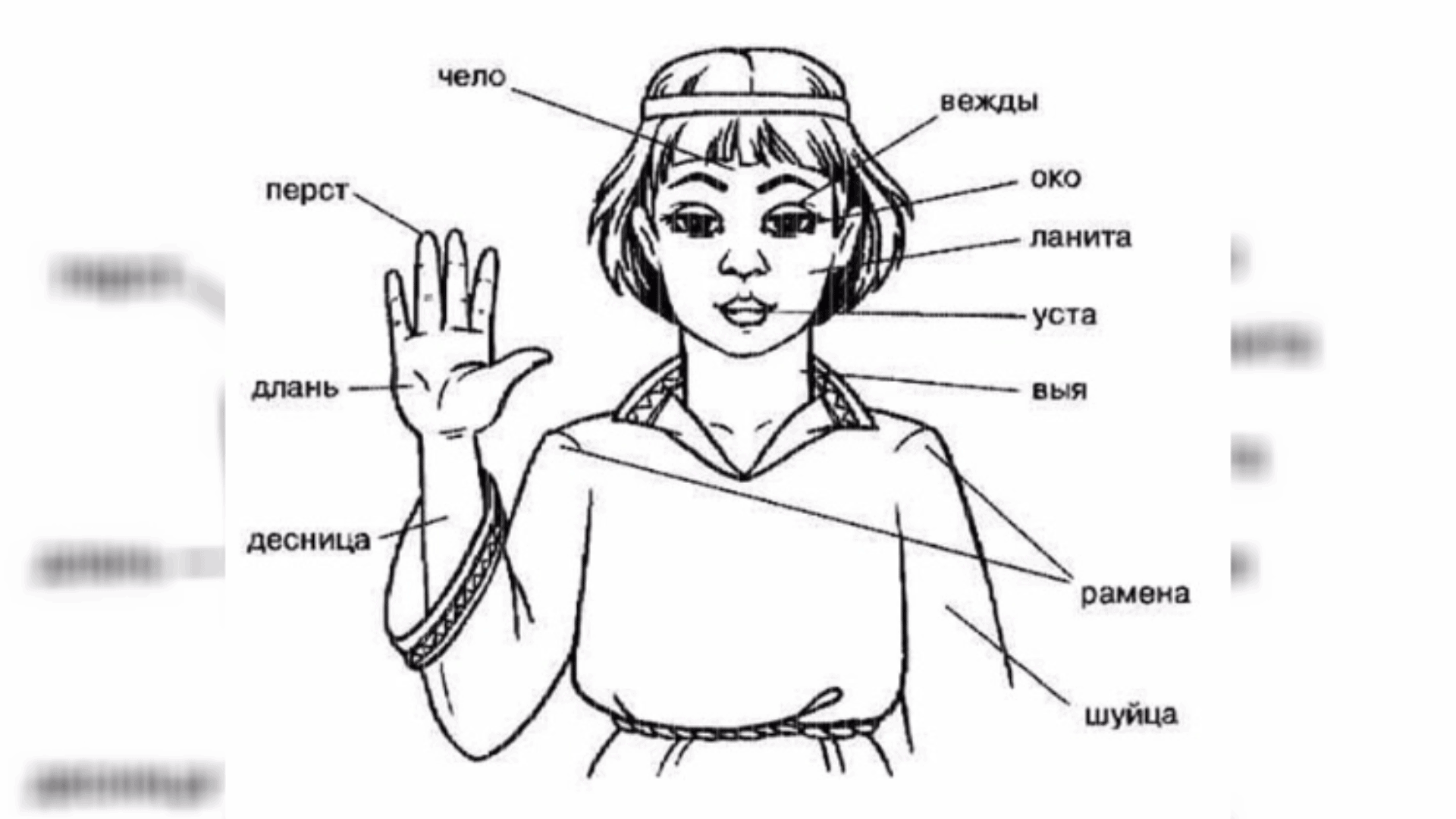 Что означает такой рисунок. Архаизмы. Старорусские названия частей тела и лица. Архаизмы примеры. Архаизмы картинки.