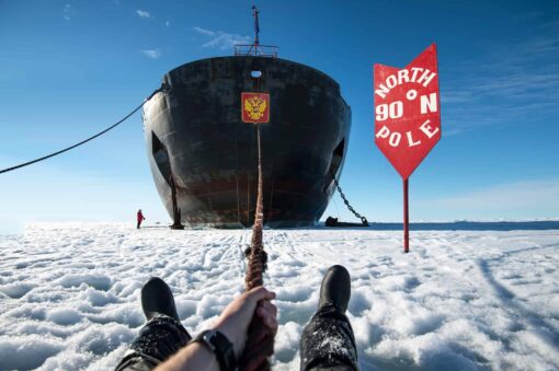 Тест: Cколько времени ты бы продержалась на Северном полюсе?