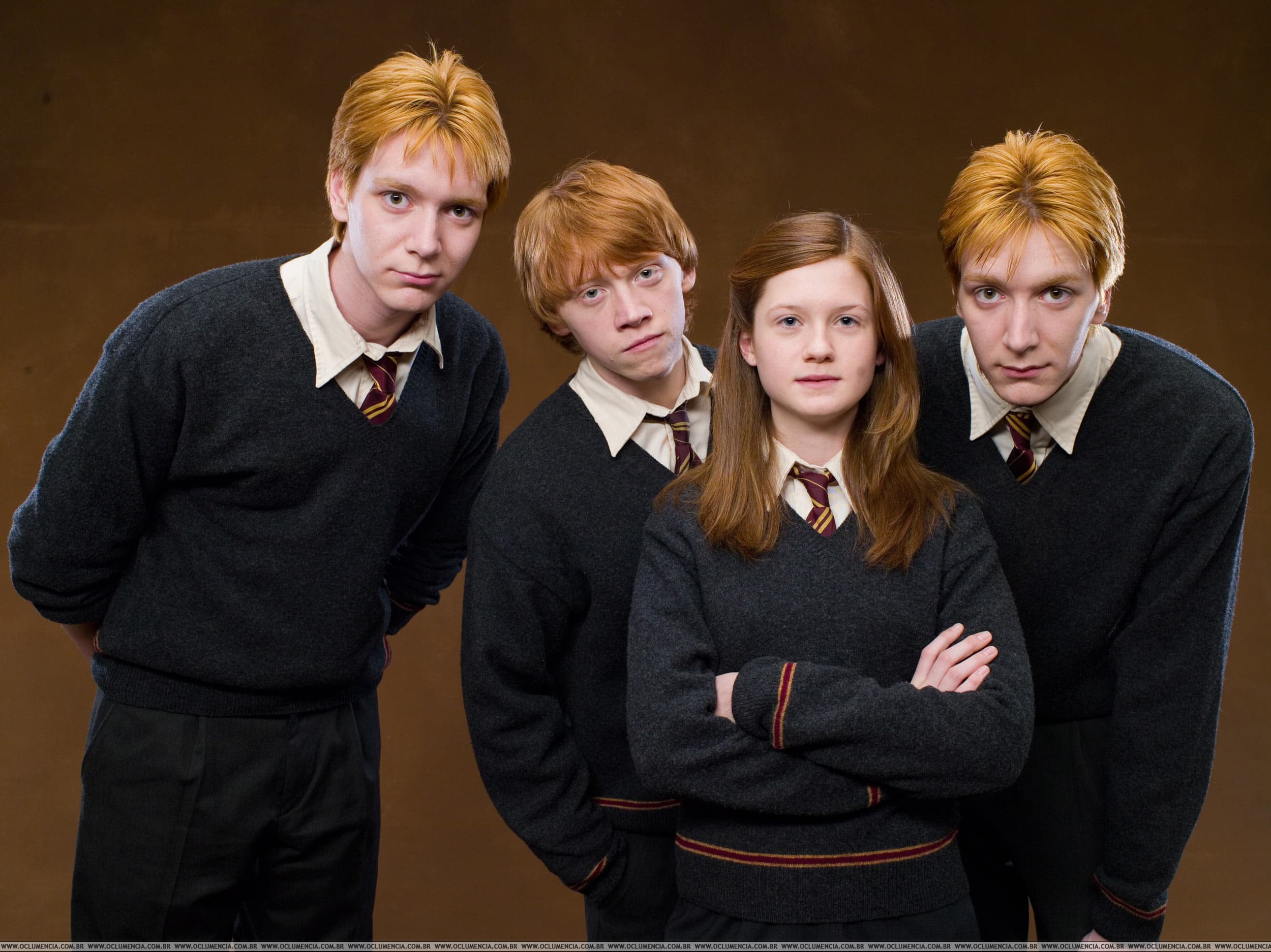 Сколько Чистокровных Семей В Гарри Поттере