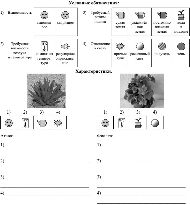 Впр по биологии 6 класс образец