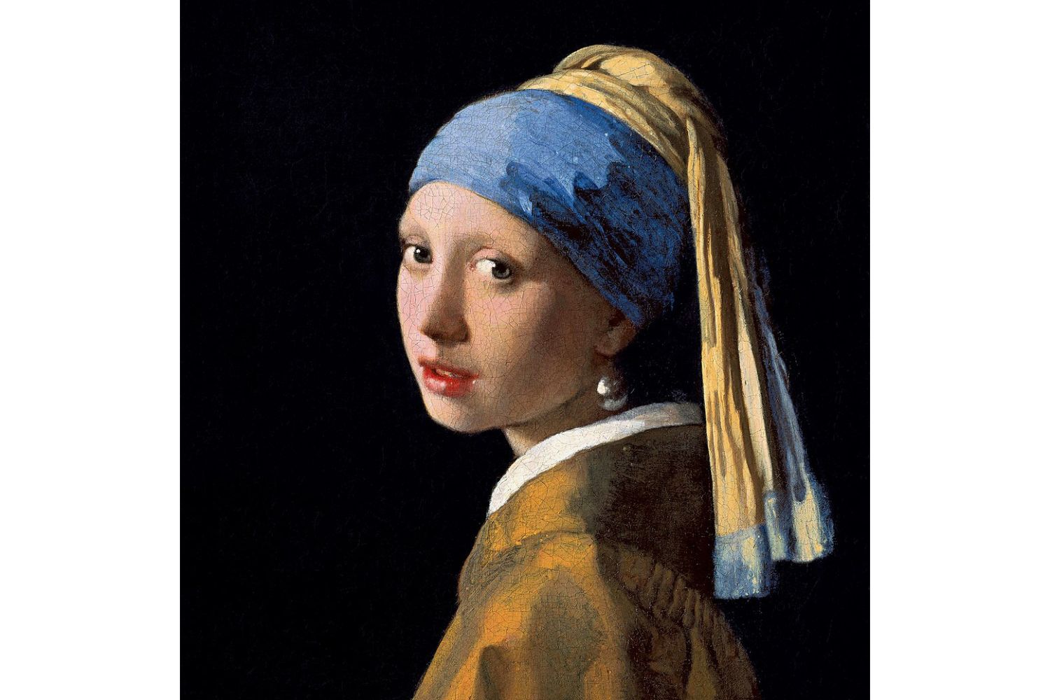 Картина девушка с жемчужной сережкой фото