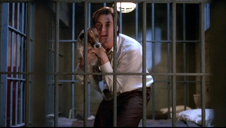 Тест: Вспомни фильмы с Джимом Керри