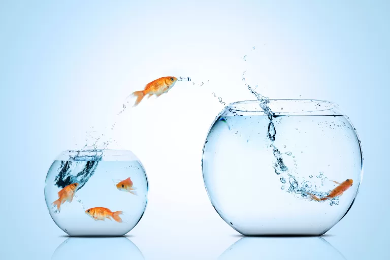 Тест: Выбери золотую рыбку и узнай, когда сбудется твоё желание