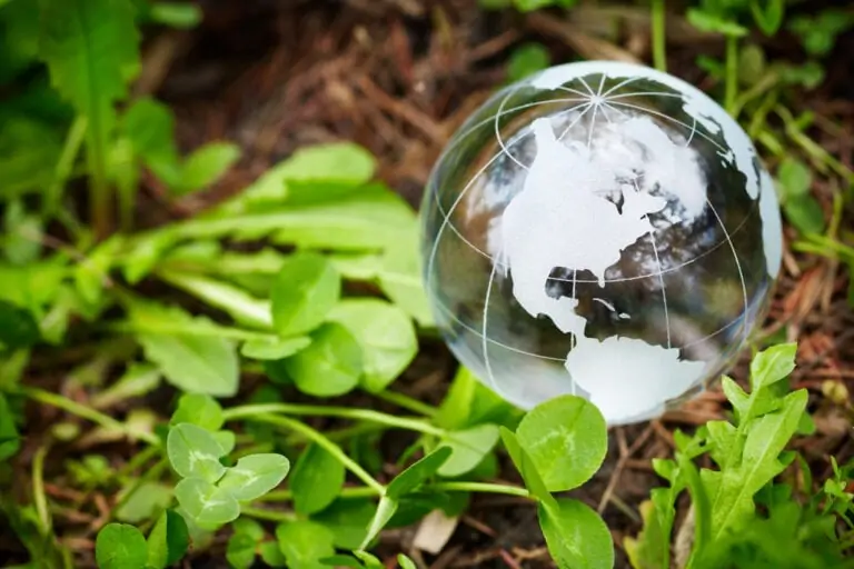 Тест: в какой стране вы могли бы работать?