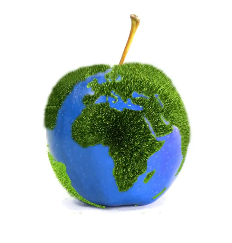 Тест для проверки ваших знаний в мировой географии