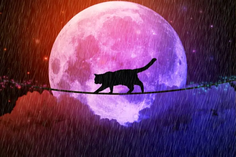 Тест-предсказание: как пройдёт ваша пятница 13-е? Суеверны ли вы?