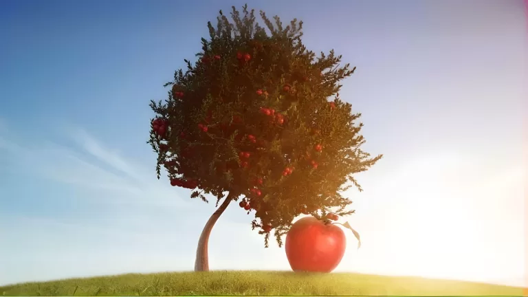 В чем может быть твоя настоящая сила?