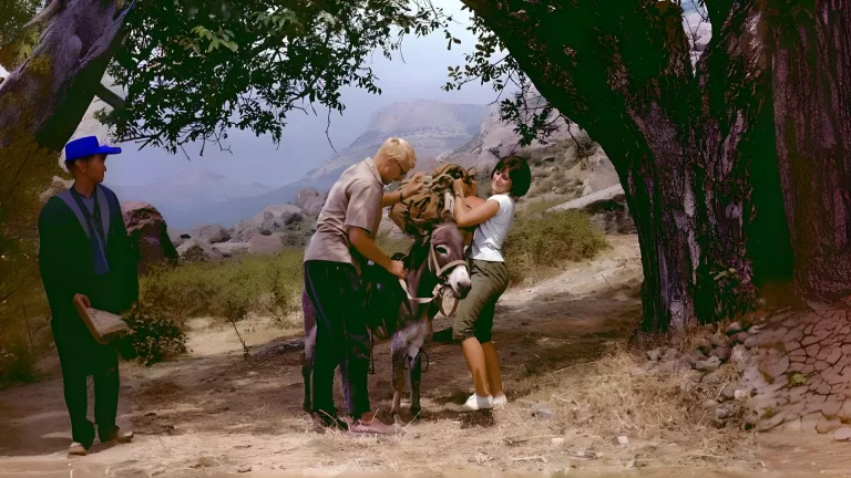 Из каких советских фильмов взяты эти цитаты?