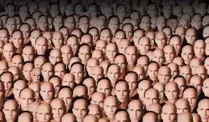 Вопросы по фильмам с актерами и актрисами, сыгравшими самих себя