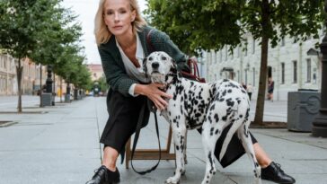 woman in blue sweater and black and white dalmatian dog sitting on gray concrete floor during