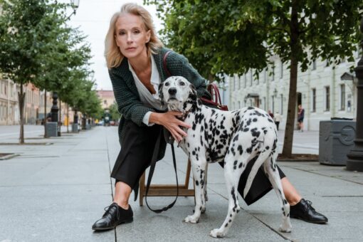 woman in blue sweater and black and white dalmatian dog sitting on gray concrete floor during
