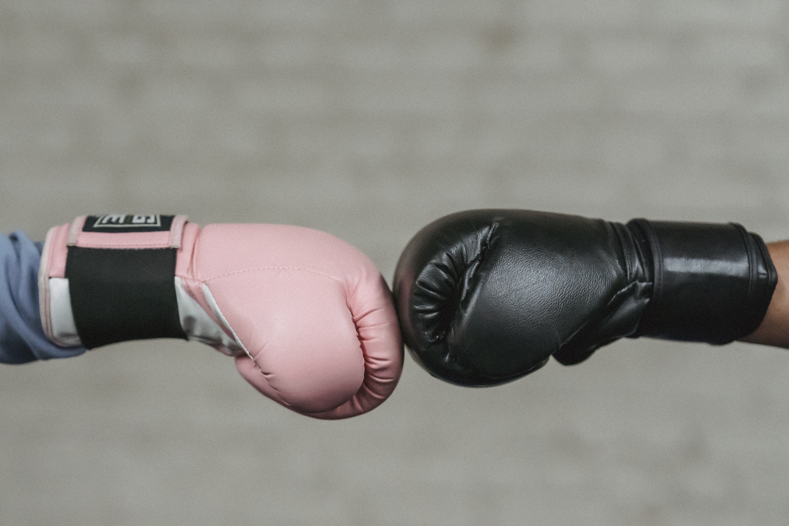 Sid view of crop unrecognizable boxers in protective gloves bumping fists before fight in ring