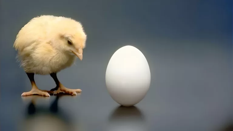 Вопросы на знание изобретений человечества, который заваливает 95% людей с высшим образованием