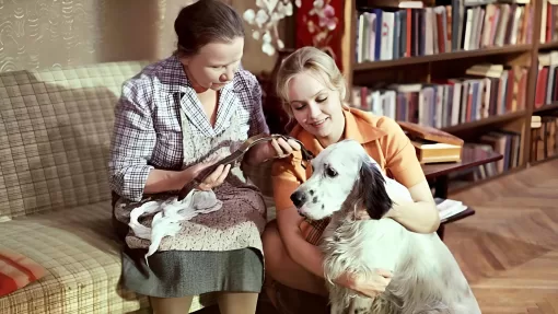 Тест о кино: угадываем советские фильмы про животных по кадру