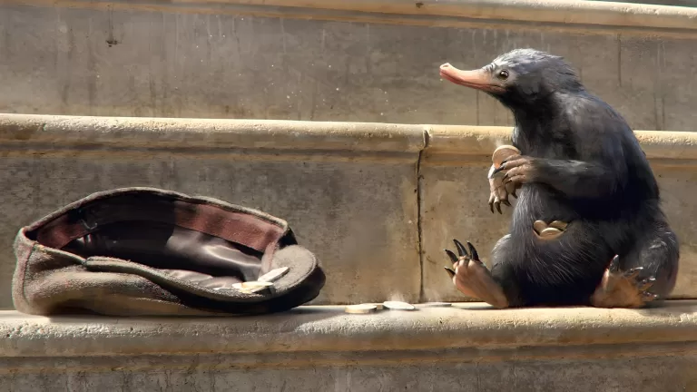 Сможете ли вы отличить фантастических тварей от реально существующих?