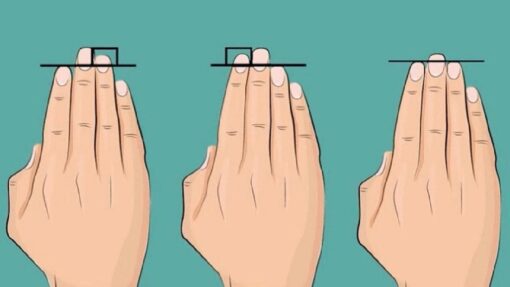 Сравните длину указательного и безымянного пальцев и узнайте, как это влияет на ваш характер