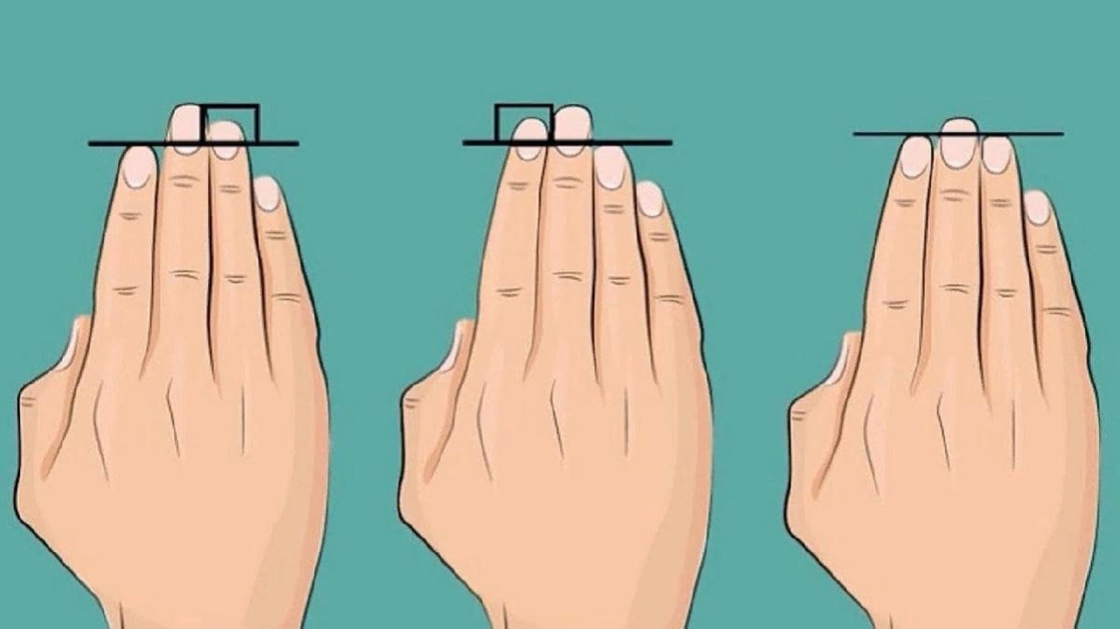 Тест большого пальца. Форма пальцев. Правильная форма пальцев рук. Характер по длине пальцев рук. Тест по пальцам.