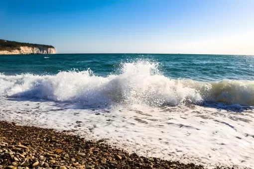 Тест: Что вы знаете о Черном море?